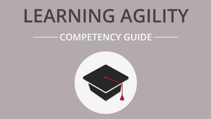 Learning Agility competency guide