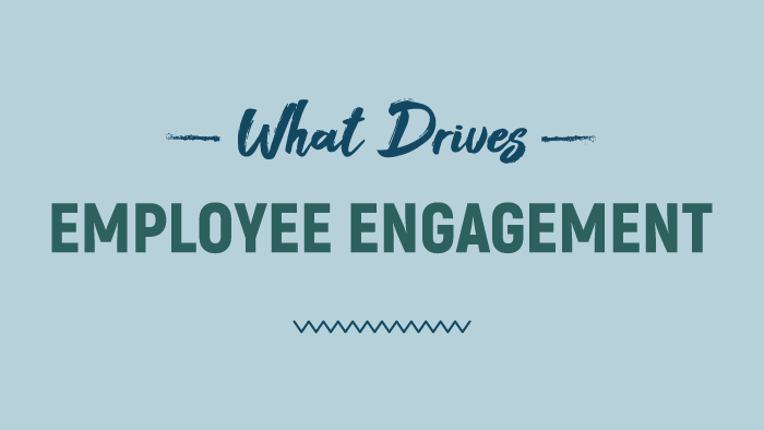 What Drives Employee Engagement