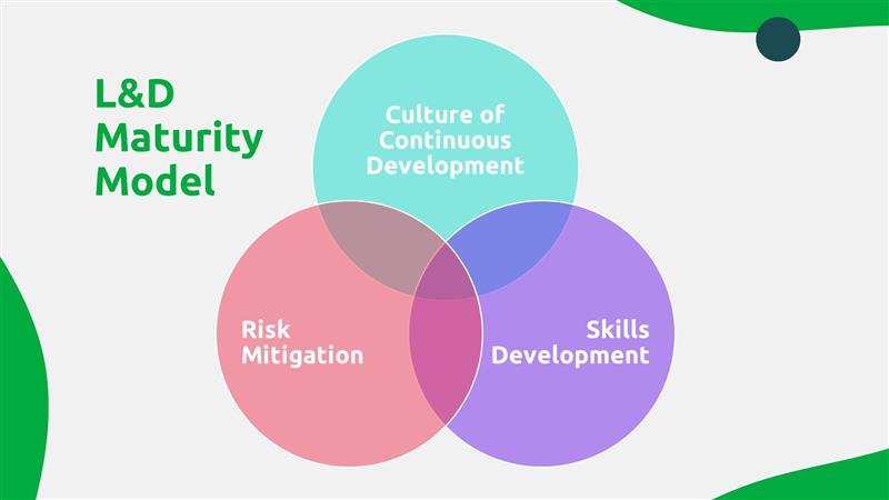 L&D Maturity Model: 3 Lenses